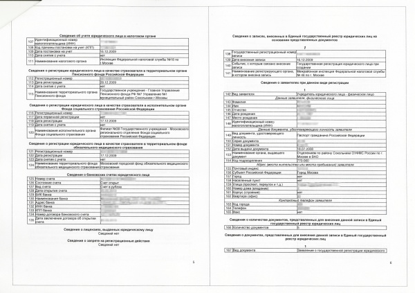 Rashirennaya vypiska egrul - 3.jpg