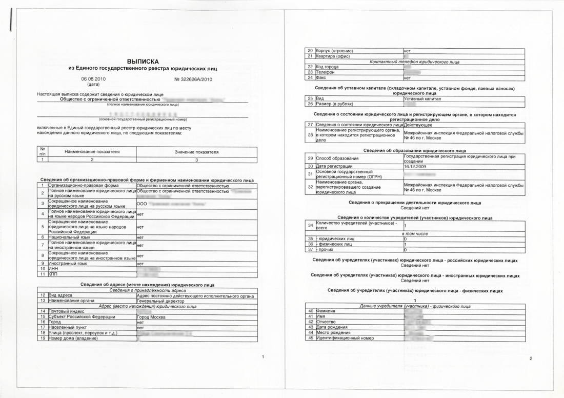 Rashirennaya vypiska egrul - 1.jpg