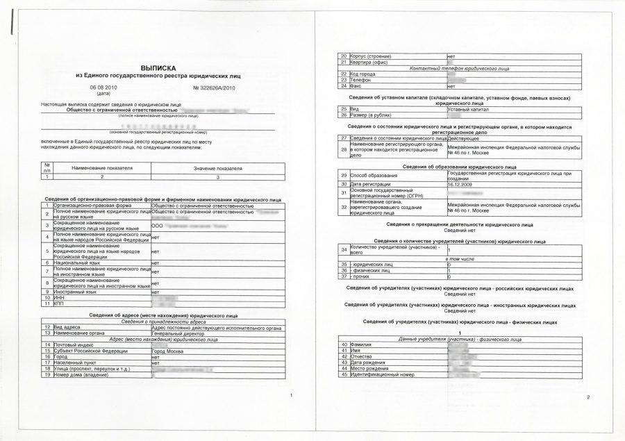 Rashirennaya vypiska egrul - 1.jpg
