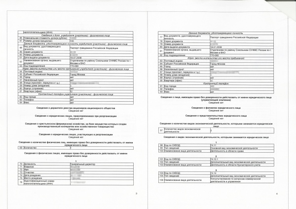 Rashirennaya vypiska egrul - 2.jpg